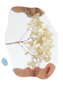 What is Enmeshment? Definition and Signs - Attachment Project